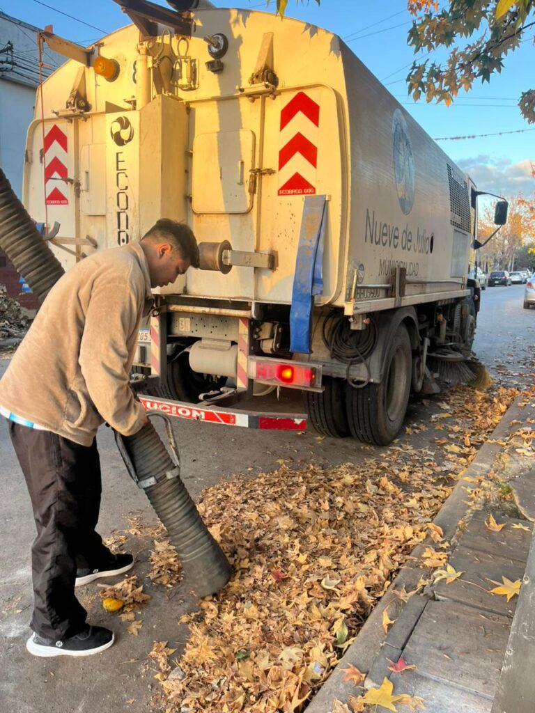 Operativos de limpieza y recolección de hojas en toda la ciudad