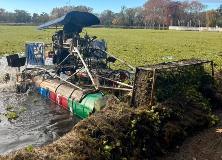 En el Parque San Martín se hacen trabajos de limpieza y recuperación de la laguna