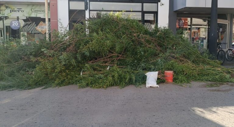 Multan a vecinos por incumplir normas en el retiro de restos de poda