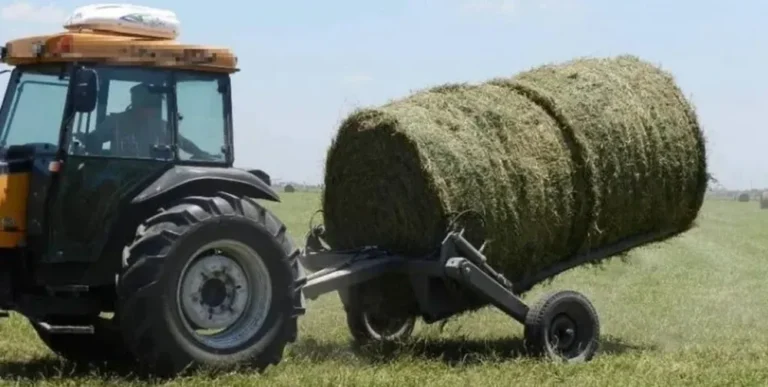 Miramar: murió un hombre tras chocar contra un tractor que circulaba con las luces tapadas en plena Semana Mundial de la Seguridad Vial