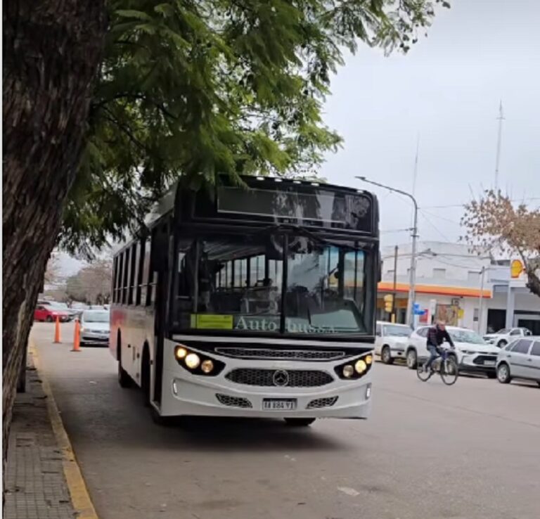 Lincoln refuerza la seguridad vial consolidando un modelo de transporte escolar urbano