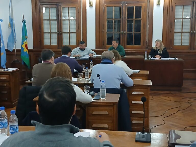 El Concejo Deliberante rechazó la remoción de la representante de ese cuerpo ante la Cooperativa Mariano Moreno
