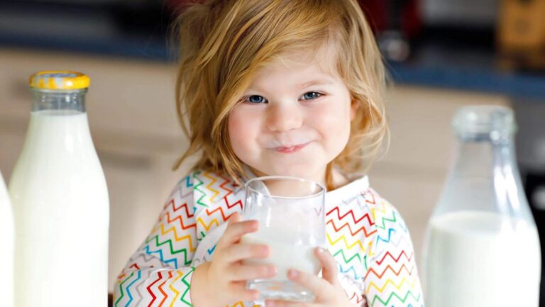Día Mundial de la Leche: un alimento esencial para la nutrición y la seguridad alimentaria