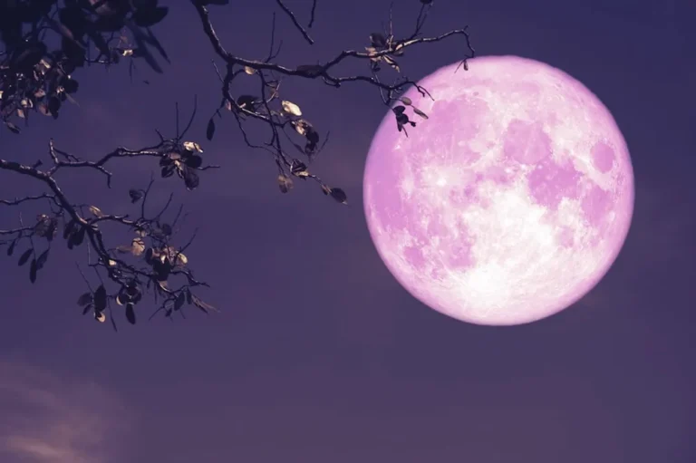 Luna de Fresa: el fenómeno astronómico que podrá verse este lunes en todo el país