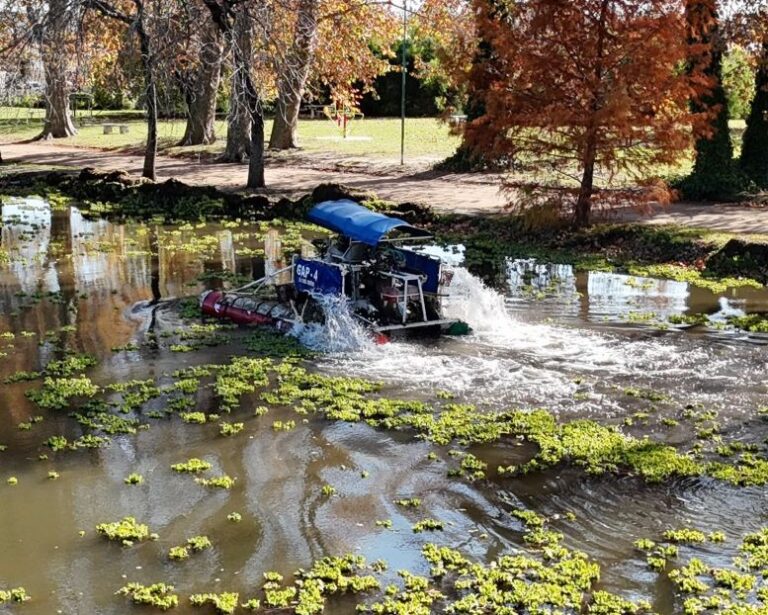 Avanza la recuperación de la laguna del Parque Gral San Martín