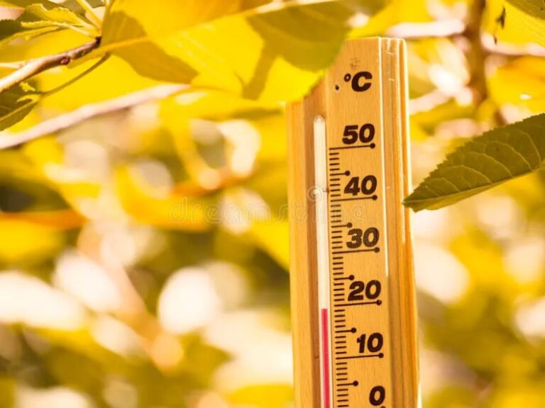 La segunda quincena de julio llega con temperaturas más altas y regresan las lluvias