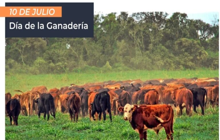 Día de la Ganadería: el bienestar animal, un pilar clave para una producción más sostenible