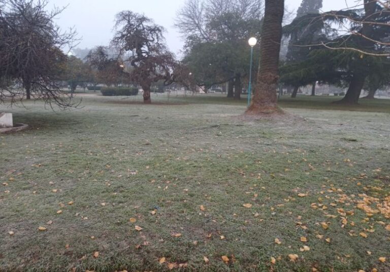 Ola polar, neblina y algunas lluvias para esta semana