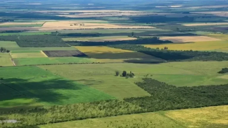 Presentan un proyecto para limitar al 15% la compra de tierras bonaerenses por parte de extranjeros