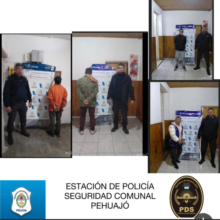 Cuatro aprehendidos por desobediencia, lesiones y daños en hechos de violencia de género en Pehuajó y Mones Cazón
