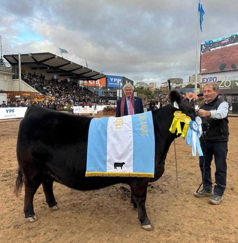 Gustavo Mato y Cabaña La Rubeta conquistaron Palermo con la Gran Campeona Hembra Angus