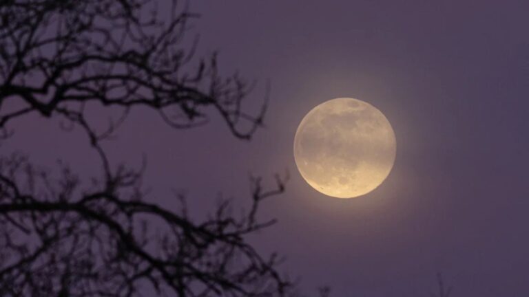 La Luna con reconocimiento Mundial