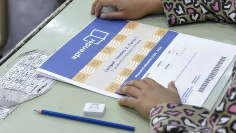 Aprender 2025: la Provincia destacó una mejora en los resultados de Lengua y Matemática
