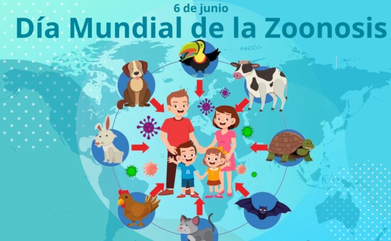 Día Mundial de las Zoonosis: alertan sobre la importancia de prevenir enfermedades que se transmiten de animales a personas