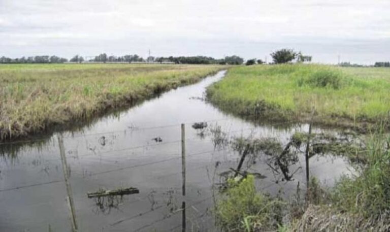 Nueve de Julio entre los municipios alcanzados por el nuevo plan bonaerense para regularizar obras hidráulicas