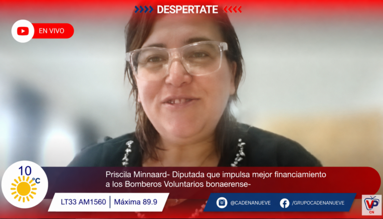 La diputada Priscila Minnaard impulsa una reforma para fortalecer el financiamiento de los bomberos voluntarios