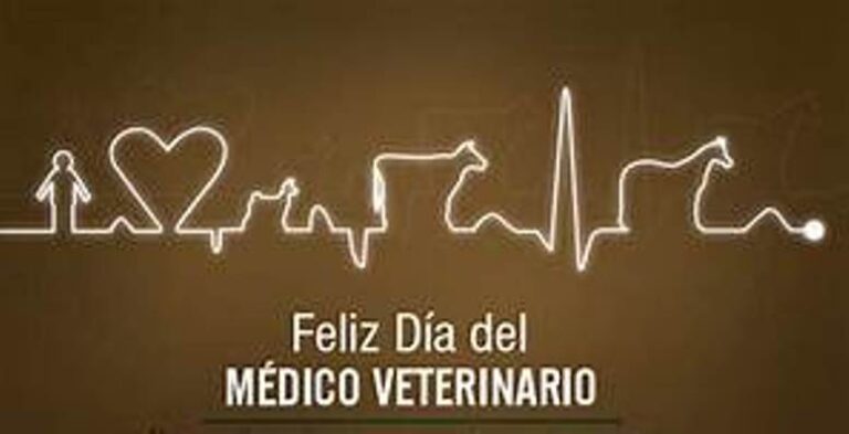 Día del Veterinario: una profesión esencial para la salud animal, humana y el cuidado del ambiente
