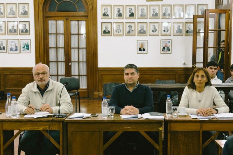 El bloque UCR impulsa un proyecto para derogar la ordenanza que regula la representación municipal en la CEyS