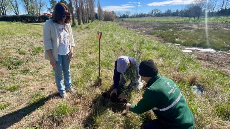 Día del Árbol: el Rotary Club nuevejuliense donó cinco casuarinas al Municipio
