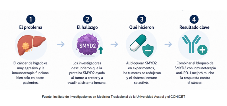 Un avance abre nuevas posibilidades para tratar el cáncer de hígado