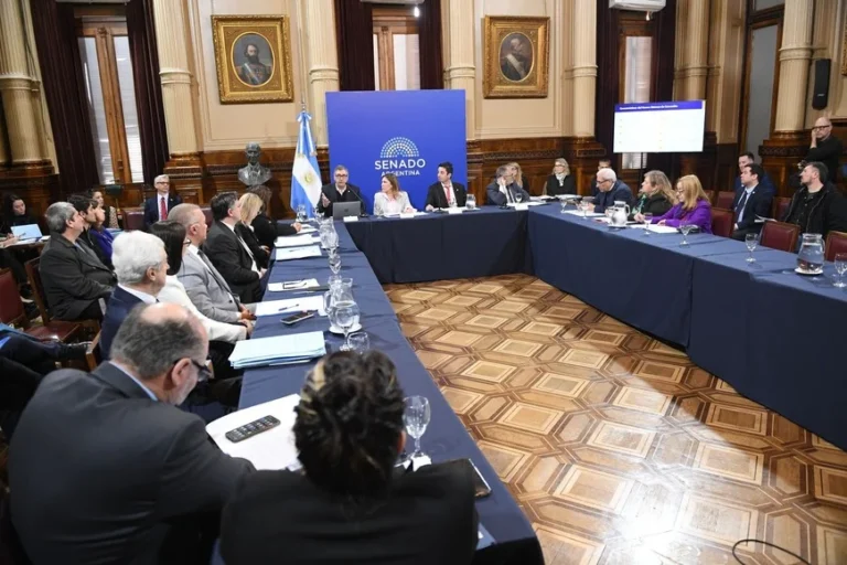 Profesionales de Vialidad desmintieron a Marcelo Campoy de sus dichos en el Senado