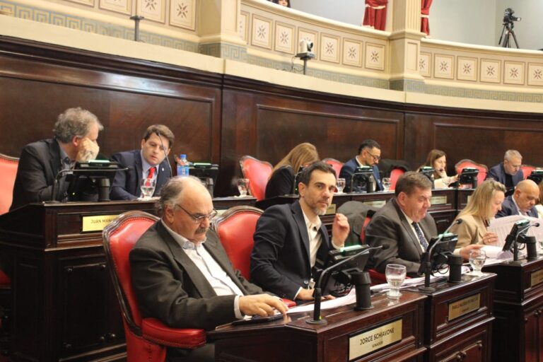 VTV bonaerense: el Senado aprobó ampliar talleres y revisar los plazos