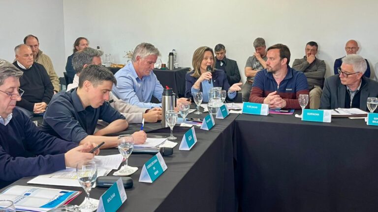 María José Gentile llevó la agenda hídrica de Nueve de Julio al Comité de Cuenca del Río Salado