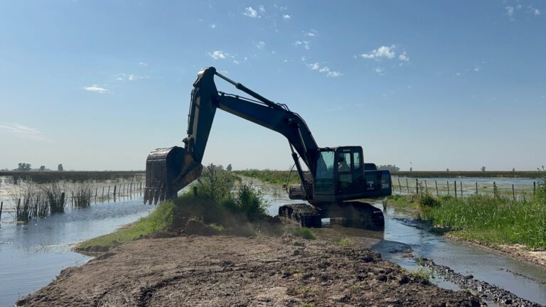 Emergencia Agropecuaria: productores de Nueve de Julio deberán tramitar el certificado
