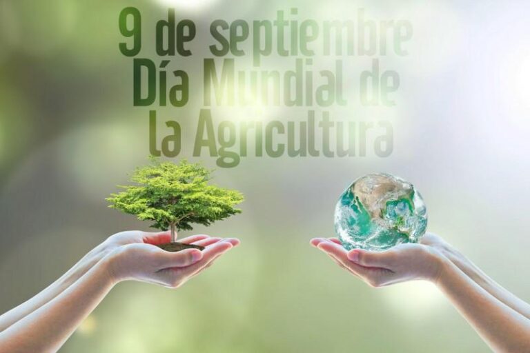 En el Día Mundial de la Agricultura, el campo es clave para alimentar al mundo y cuidar el planeta